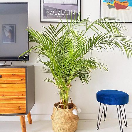 Apartament Monstera Dziwnówek Dış mekan fotoğraf