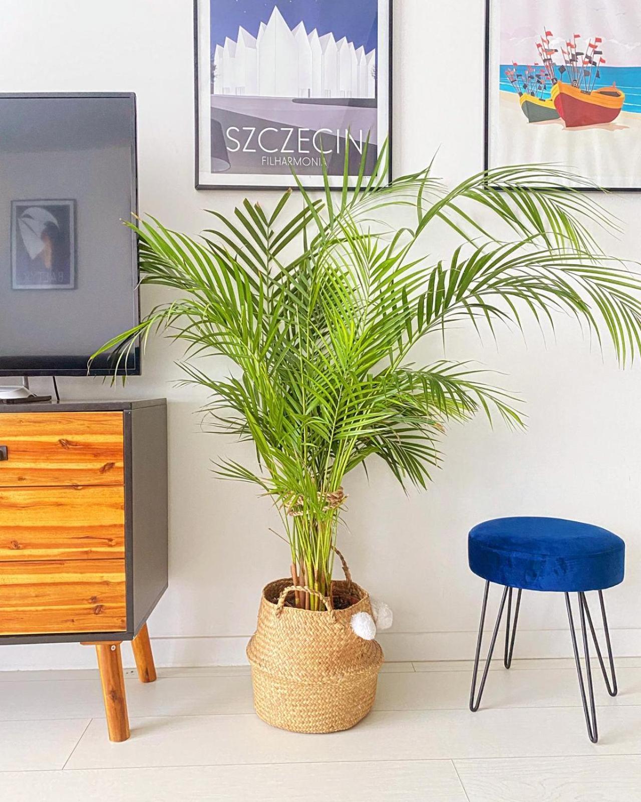 Apartament Monstera Dziwnówek Dış mekan fotoğraf
